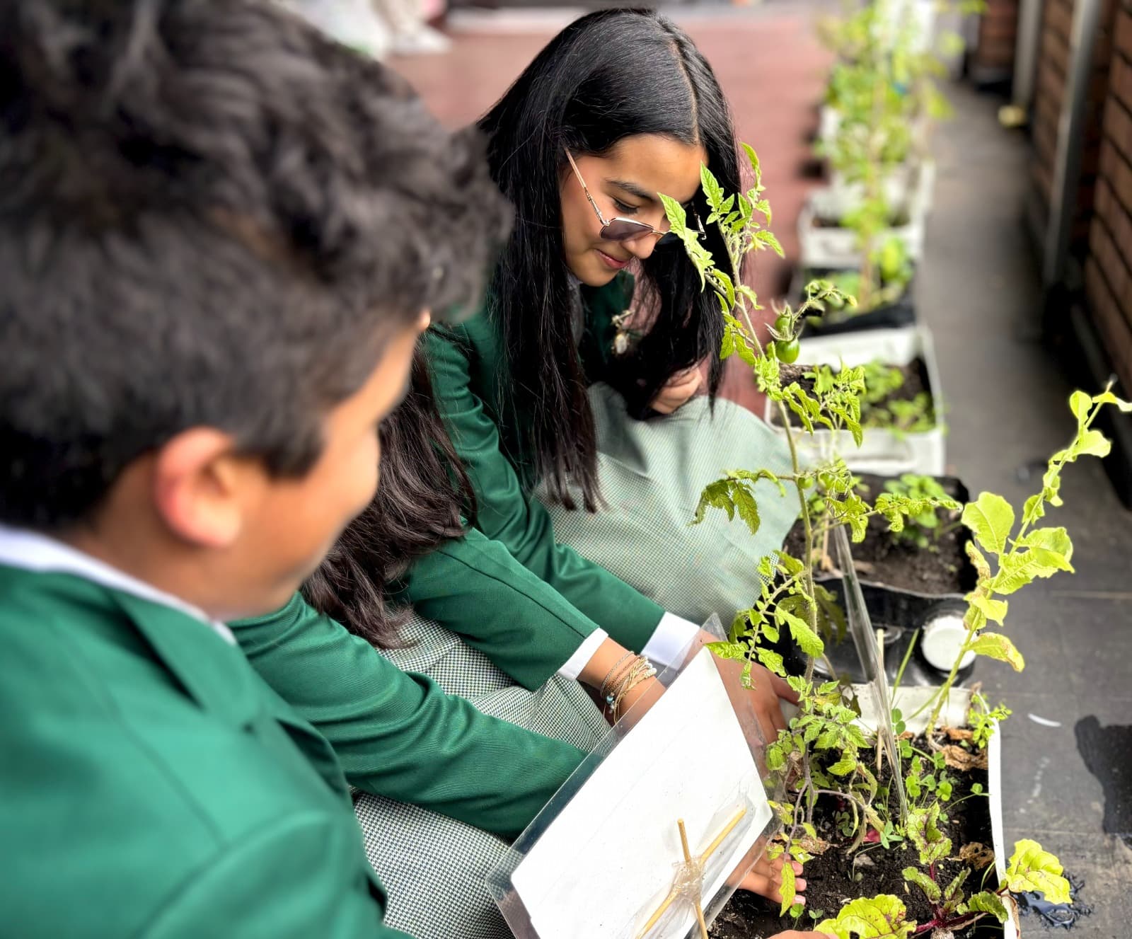 Estudiantes participando en el proyecto